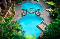 Hotel Fortin Plaza - Pools