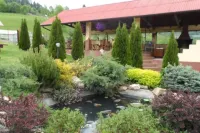 Pensiunea Casa Vero - Homestay