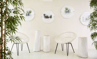 a white room with three chairs and two potted plants , creating a relaxing and inviting atmosphere at Eagles Palace