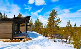 Arctic TreeHouse Hotel