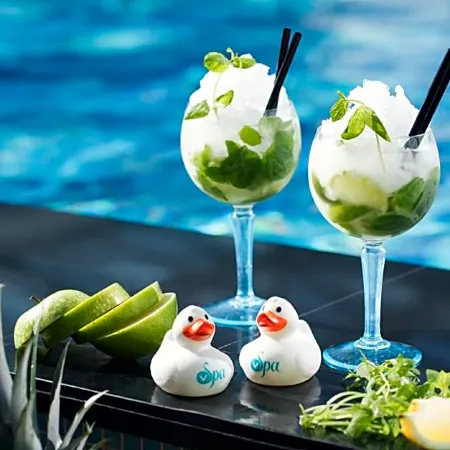 V Spa & Conference Hotel