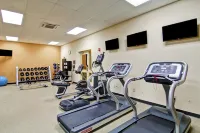 Hilton Garden Inn Ottawa Airport - Gym