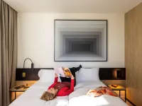 Ibis Brussels Groot Bijgaarden Hotels in 