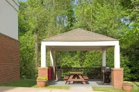 Suburban Studios Charlotte - Executive Park Hotels in Executive Park