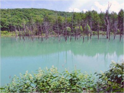 ホテル周辺 旭川トーヨーホテルの写真