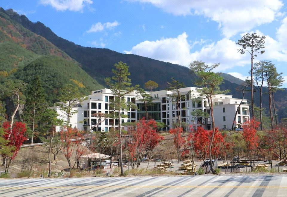 파인포레스트 정선 알파인리조트 사진