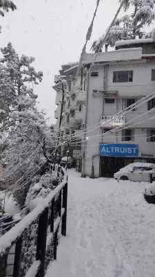 Abuzz Oxfordcaps Simla