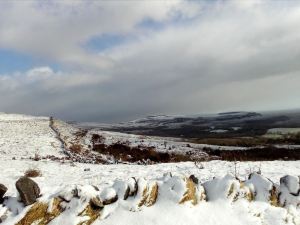 Burren Bushcraft - Camping & Adventures