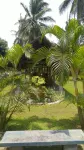 Villa Andrians Carita 카리타 호텔