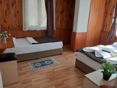 Mustafa Hotel