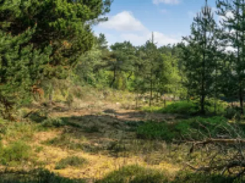 "Herborg" - 1km from the Sea