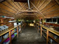 Triton Dive Lodge - Wifi