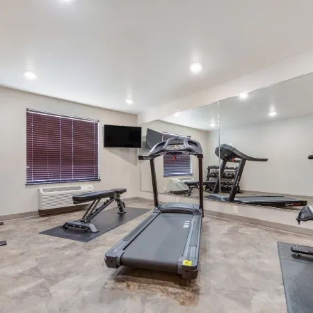 Cobblestone Inn & Suites-Fremont