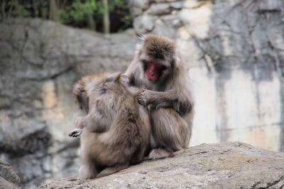 その他 チサン ホテル 横浜伊勢佐木町の写真