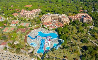 an aerial view of a large resort with multiple swimming pools and beach chairs , surrounded by lush greenery at Aquaworld Belek
