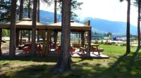Rocky Inn Hotels in Valemount