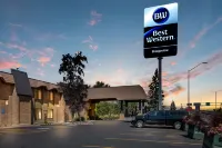Best Western Bridgeview Hotel - parkir
