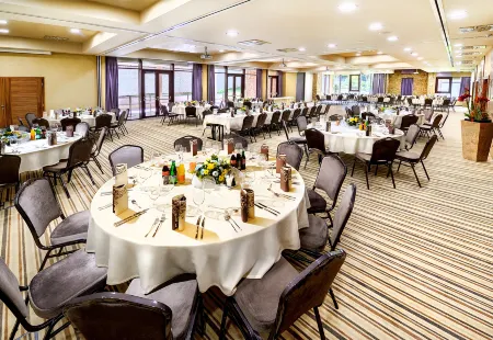 Wellness Hotel Chopok Отели в г. Демановска-Долина