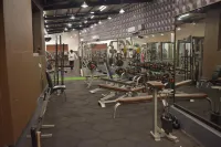 Hotel Golden Bees Spa & Gym