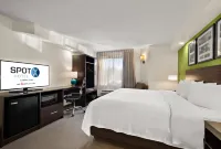 SPOT X Hotel Tampa - Wesley Chapel by The Red Collection Hoteles en Condado de Pasco