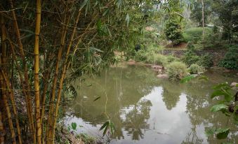 The Wayside Farm Cottage Munnar