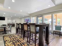 Best Western Plus Downtown North Hotels near Onslow Park