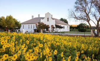 Bethulie Guest Farm