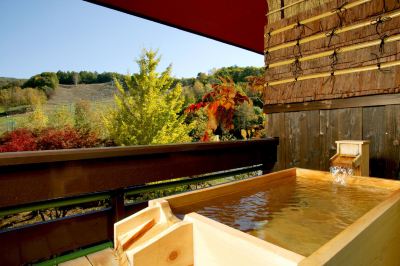 スパ・大浴場 奥利根温泉 ホテルサンバードの写真