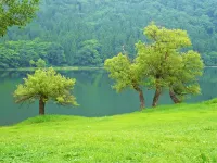 Village Hill Jubankan