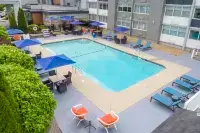 Hampton Inn by Hilton Manchester - Pool