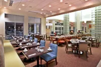 HIlton Garden Inn Detroit/Novi Hotels in Нові