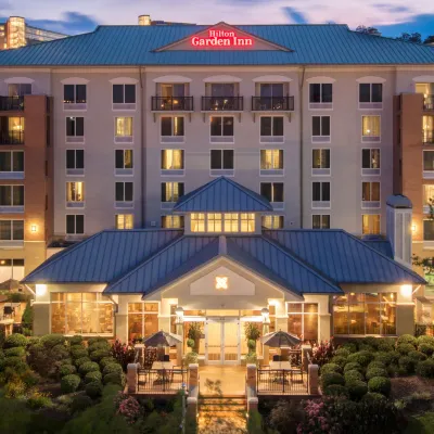 Hilton Garden Inn Chattanooga Downtown Hotels near Coolidge Park Antique Carousel