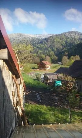 Bicentennial house at the foot of the Ballon d'Alsace