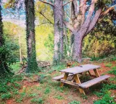 Luxury Tiny Home. Brew Ridge. Trail. Ski. Wineries