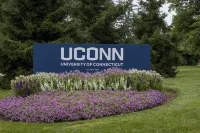 Cozy 3-bed 1.5 baths 1 mile from UConn campus. WiFi AC Patio Kitchen Dining room