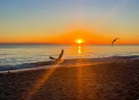 Coastal Getaway-Heated Pool-Walk to Beach