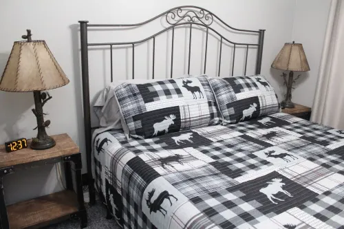 Lake View cottage, secluded, quiet, total remodel, 3 king beds