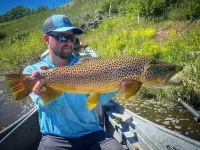 lturas 2: New Modern 2BR Cabin, Big Windows for Big Mountain Views