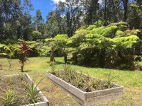 Tranquil private home 5 minutes to Hawai'i Volcanoes National Park
