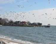 Luxury Private Beach Front Property