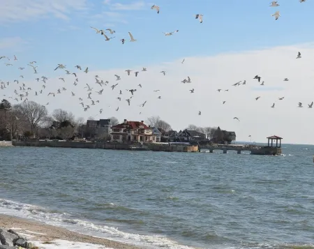 Luxury Private Beach Front Property