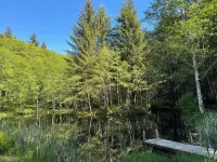 Lower Twin Cabin - 34 beautiful private acres of forest, meadows and riverfront.