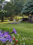 Whippoorwill Cabin, a pet-friendly retreat in Swan Valley