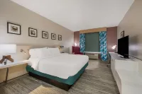Hilton Garden Inn Oklahoma City Midtown Hotels near Waikiki at Penn Square Mall