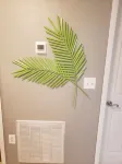 Welcome to Lime on Green! I also have a rental CAR listed/available on TURO.COM