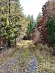Secluded/Pet-friendly home on 3+ acres, close to downtown Hayward/ATV Trails
