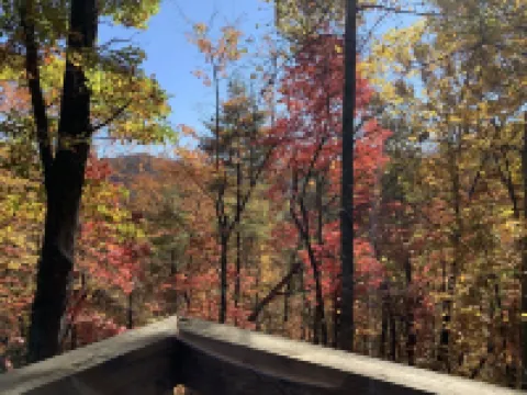 Lazy Bear Lodge 25 min to Beech Mountain Hot Tub and Pool Table 約翰遜縣酒店