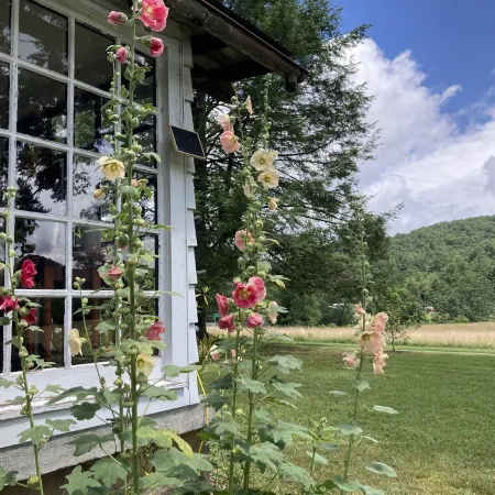 Historic Cabin-Close to I-77, Antiques/Wi fi, Great Bath, a Visit 'Back in Time'