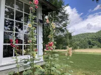 Beautiful Fall Foilage is Here! Off I-77, Historic Log Cabin w Antiques/Wifi