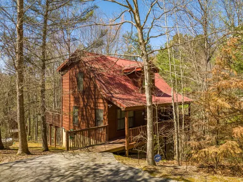 Mountain Cabin with Perfect Location